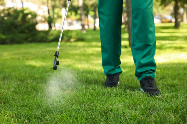 Best Wasp Removal Services  in Immokalee, FL