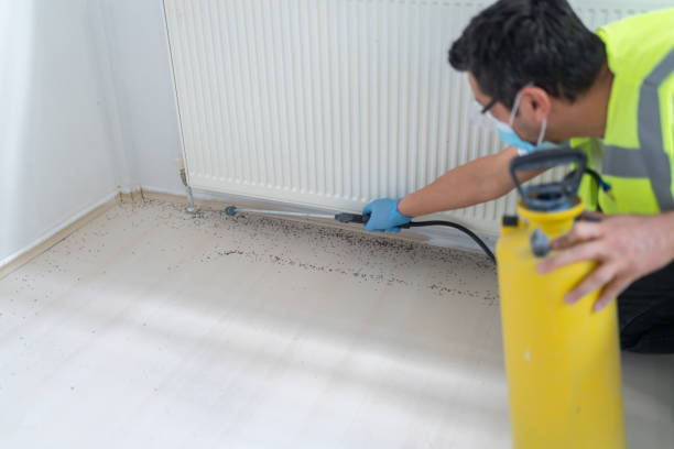 Reliable Immokalee, FL Pest Control Solutions