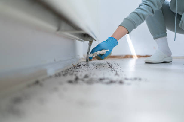 Best Commercial Pest Control Services  in Immokalee, FL